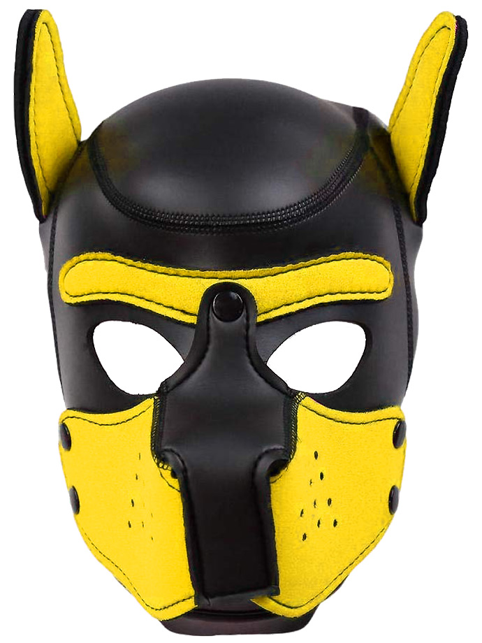 https://www.poppers-schweiz.com/shop/images/product_images/popup_images/SM-625-maske-hund-dog-petplay-ohren-latex-neopren-yellow__1.jpg