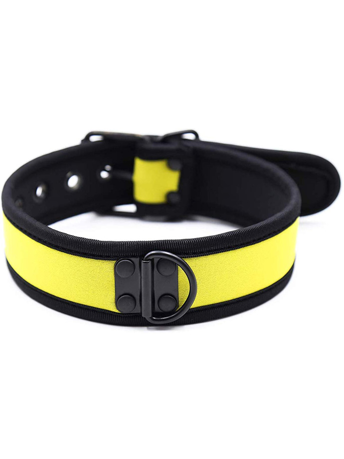 https://www.poppers-schweiz.com/shop/images/product_images/popup_images/collar-neopren-pupplay-puppy-choker-costume-yellow__1.jpg