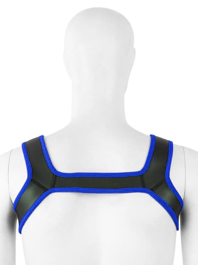 https://www.poppers-schweiz.com/shop/images/product_images/popup_images/harness-neoprene-shoulder-strap-chest-belt-black-blue__2.jpg