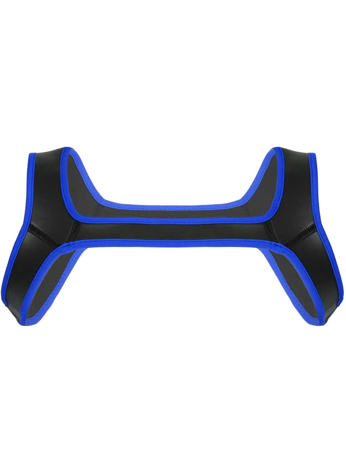 https://www.poppers-schweiz.com/shop/images/product_images/popup_images/harness-neoprene-shoulder-strap-chest-belt-black-blue__3.jpg