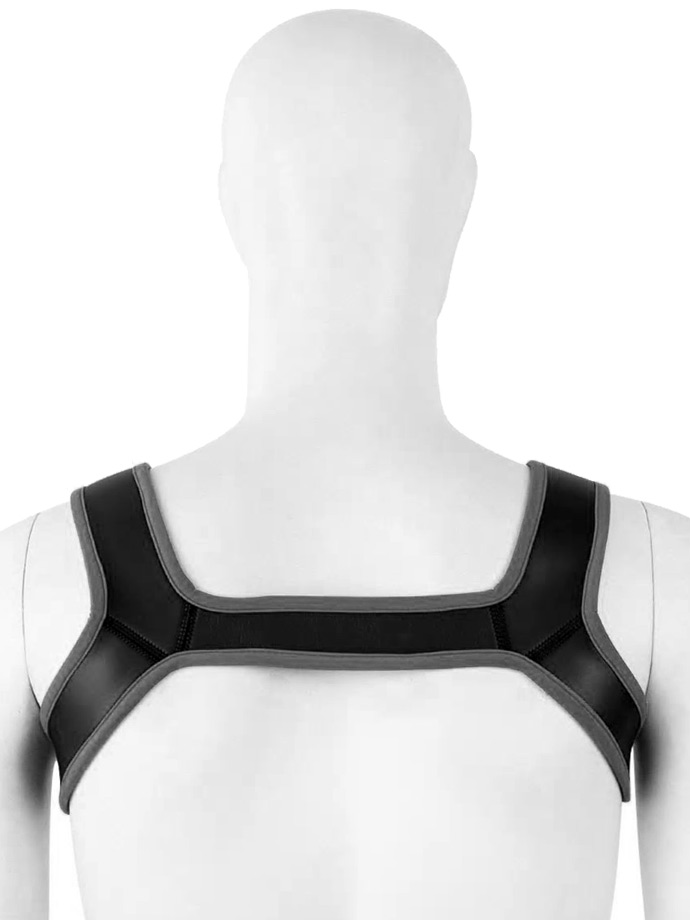 https://www.poppers-schweiz.com/shop/images/product_images/popup_images/harness-neoprene-shoulder-strap-chest-belt-black-grey__2.jpg