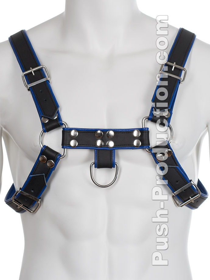 https://www.poppers-schweiz.com/shop/images/product_images/popup_images/leather-bdsm-top-harness-d-rings-blue__1.jpg