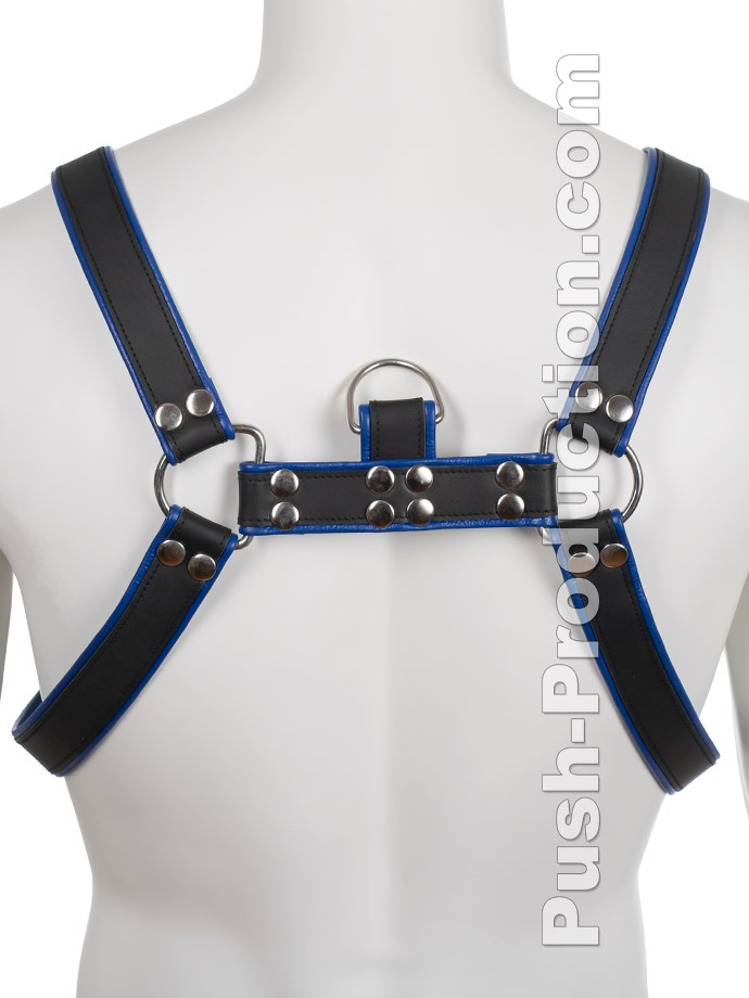 https://www.poppers-schweiz.com/shop/images/product_images/popup_images/leather-bdsm-top-harness-d-rings-blue__2.jpg