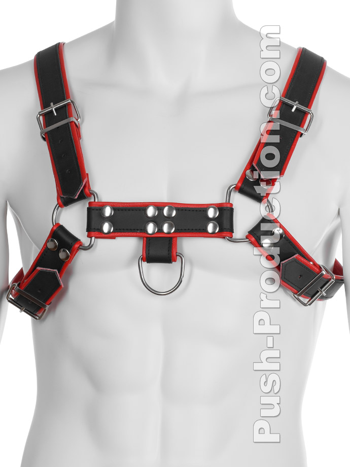 https://www.poppers-schweiz.com/shop/images/product_images/popup_images/leather-bdsm-top-harness-d-rings-red__1.jpg