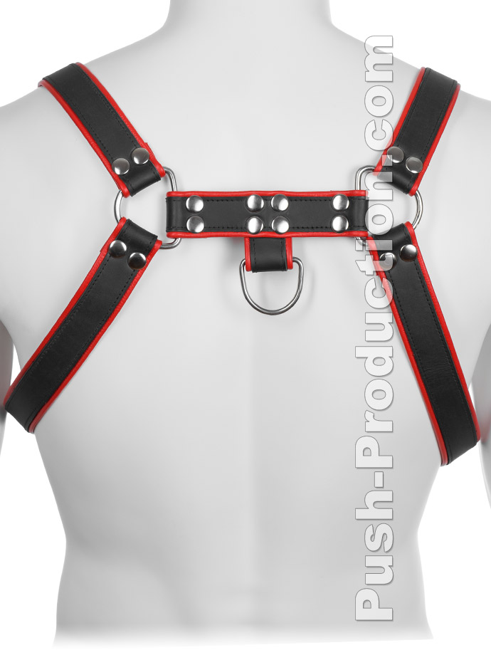https://www.poppers-schweiz.com/shop/images/product_images/popup_images/leather-bdsm-top-harness-d-rings-red__2.jpg