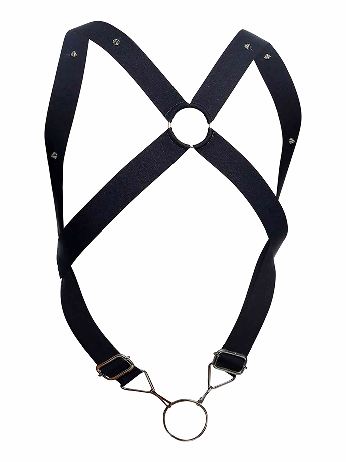 https://www.poppers-schweiz.com/shop/images/product_images/popup_images/malebasics-dngeon-crossback-harness__3.jpg