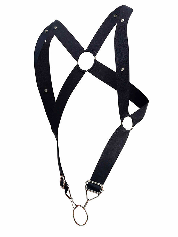 https://www.poppers-schweiz.com/shop/images/product_images/popup_images/malebasics-dngeon-crossback-harness__4.jpg