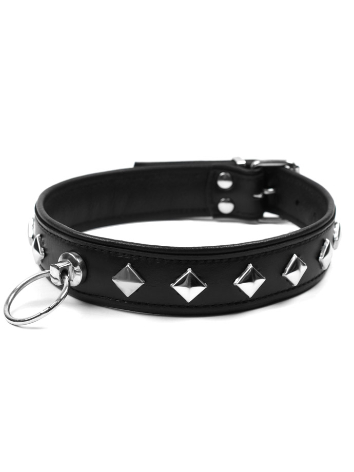https://www.poppers-schweiz.com/shop/images/product_images/popup_images/tci-9768-bitch-collar-with-ring.jpg