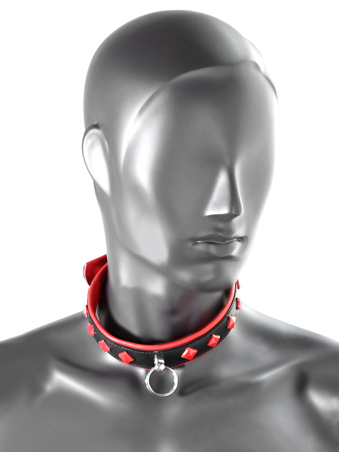 https://www.poppers-schweiz.com/shop/images/product_images/popup_images/tci-9768-collar-back-red__1.jpg